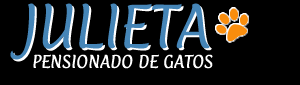 Julieta Pensionado de Gatos en Zona Oeste